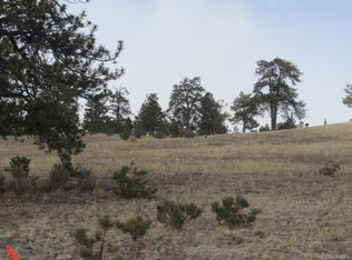 5098 Anasazi Rd LOT 5098, Hartsel, CO 80449