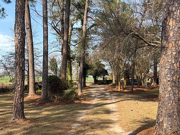 4th image of 159 Golden Rd