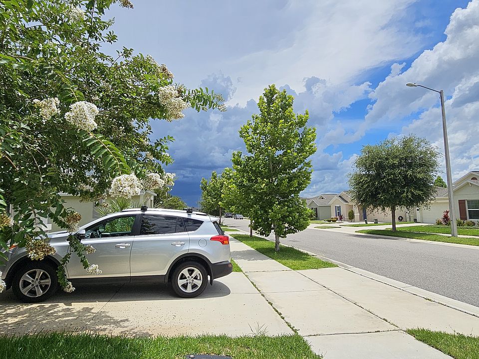 Neighborhood