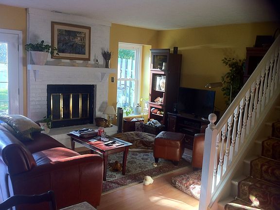 Wood burning fireplace