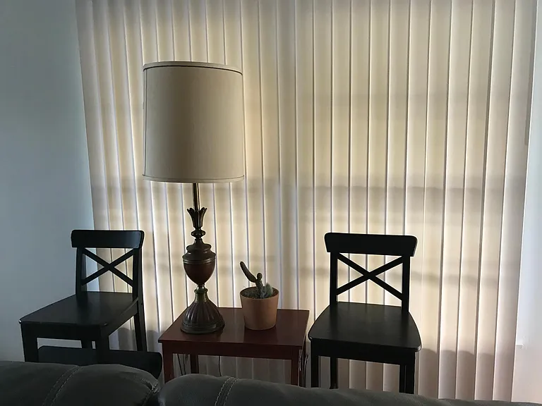 living room window blinds