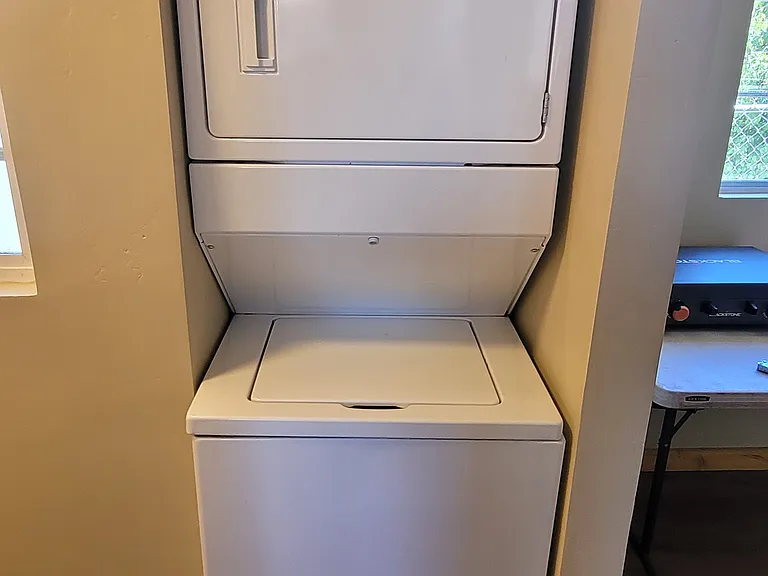 Washer and Driver included
