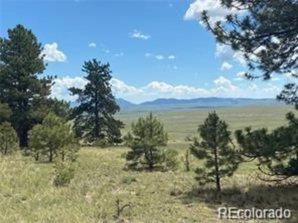 252 Angus Circle LOT 988, Hartsel, CO 80449