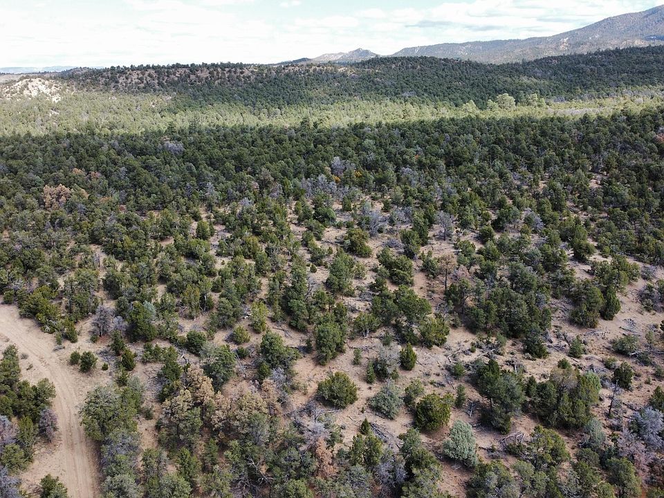Naranjo Creek Rd, La Jara, NM 87027 Zillow