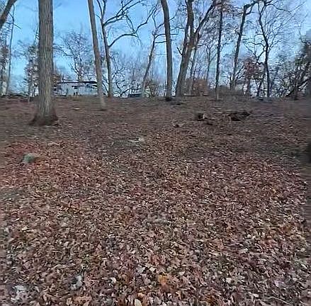 3rd image of 46 SE Lakeside Dr