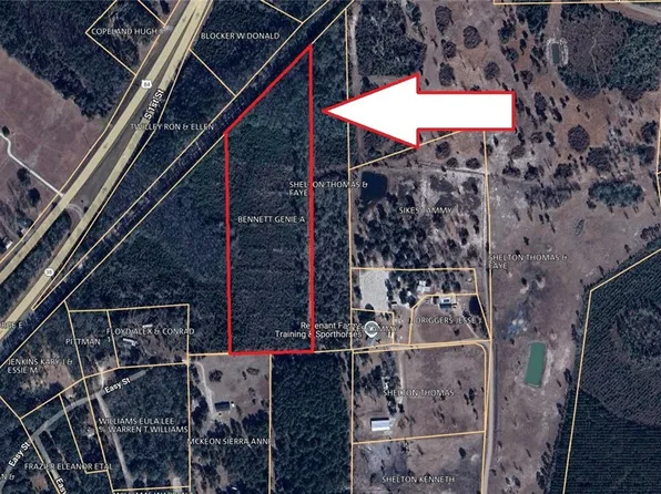 0 Easy St, Screven, GA 31560