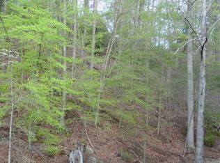 254 Perserve Way, Mountain City, TN 37683