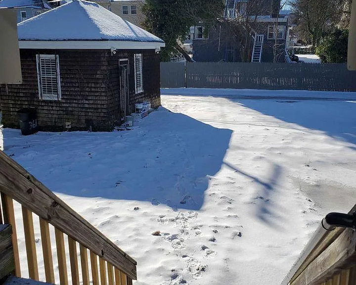 3617 Springdale Ave — Photo 4