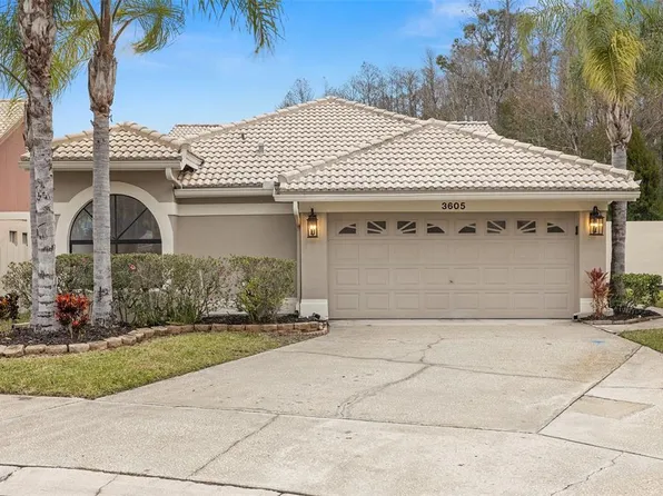 3605 Darston St, Palm Harbor, FL 34685