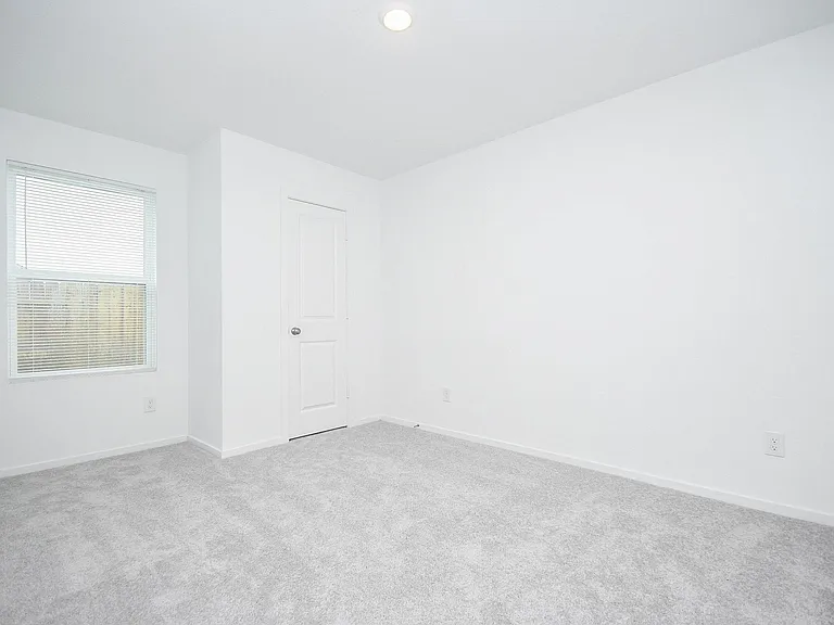 923 Capracotta Dr — Photo 7