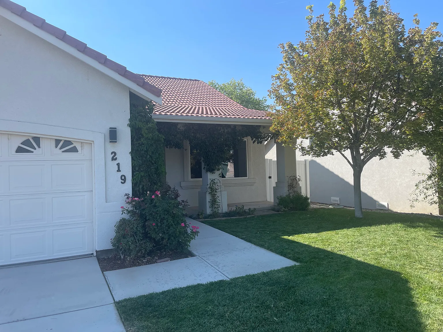 219 Mary Lou Ln — Photo 2