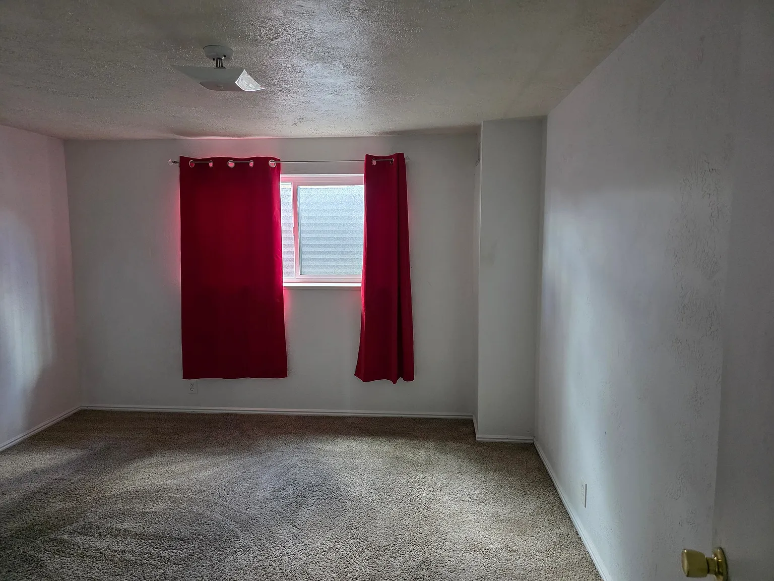 Basement 2 Bed 1 Bath Shared Laundry — Photo 4