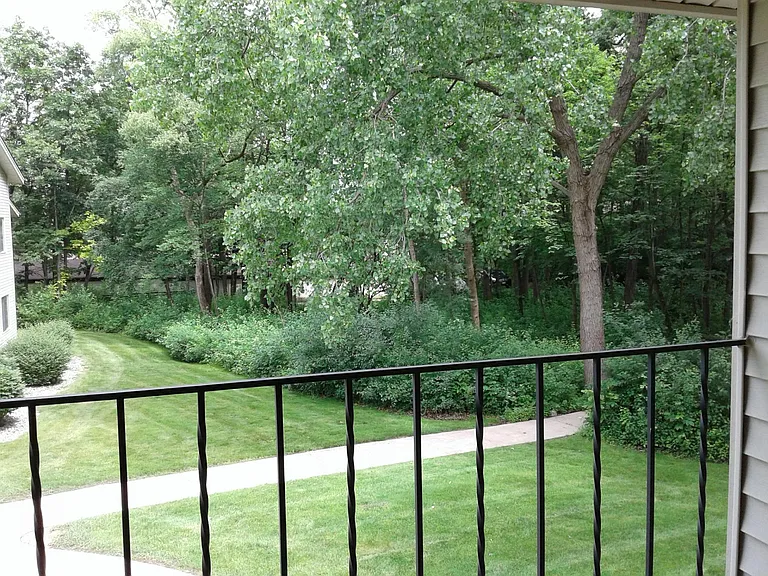View From Living Room