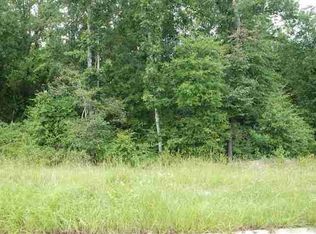 41 Cotton Creek Blvd, Enterprise, AL 36330