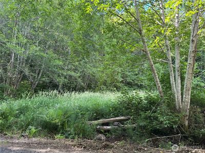 190 W Thunderbird Drive, Elma, WA, 98541