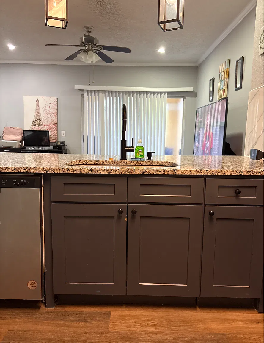 1 bed, 869 sqft, $1,350 — Photo 3