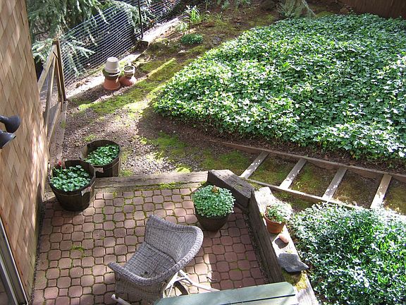 Patio off Master Suite