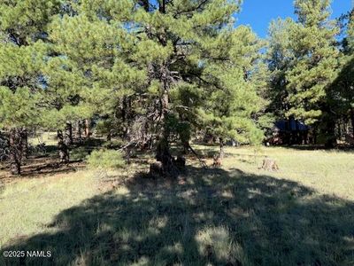 5920 White Tail Ln, Flagstaff, AZ, 86001