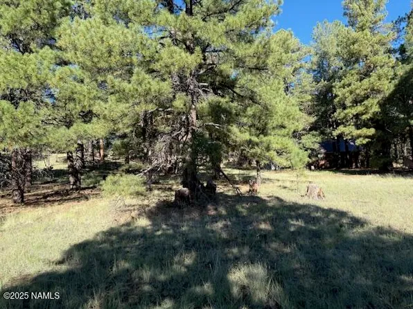 5920 White Tail Ln, Flagstaff, AZ 86001
