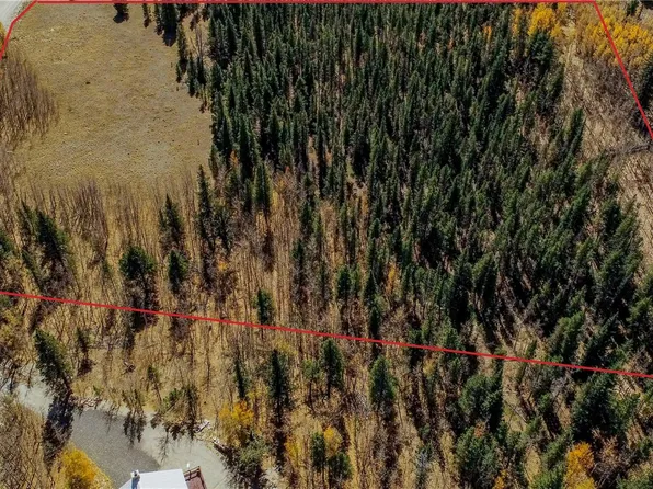 459 Platte River Drive LOT 7, Fairplay, CO 80440