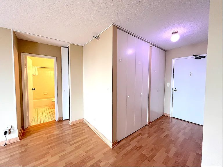 1212 N Lasalle St #1904 — Photo 3
