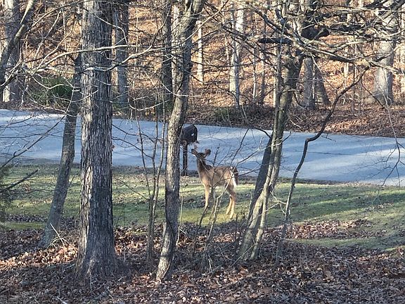 3rd image of 5824 S Poplar Grove Rd