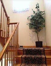 2nd image of 427 Forest St