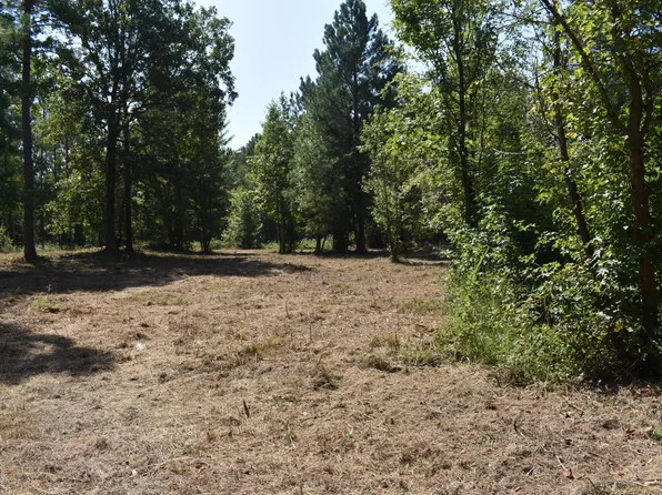 TRACT 6 Charles Rd, Decatur, TN 37322