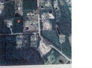 3768 Pine Pitch Ct, Ormond Beach, FL 32174