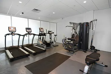 Sold by Brooklyn Bridge