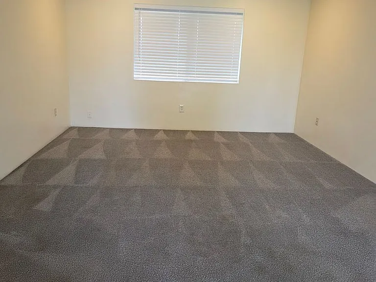 3824 Christmas Tree Ln — Photo 13