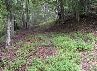 Lee Elgin Rd, Woolwine, VA 24185