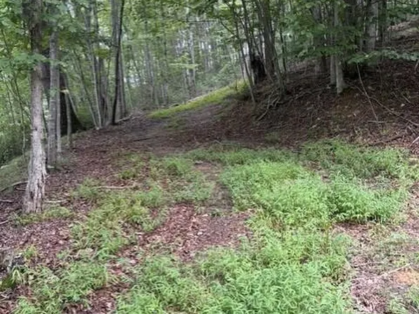 Lee Elgin Rd, Woolwine, VA 24185