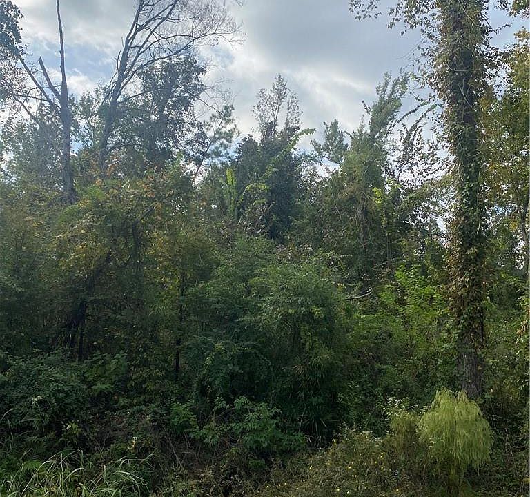 2nd image of Campfire Rd