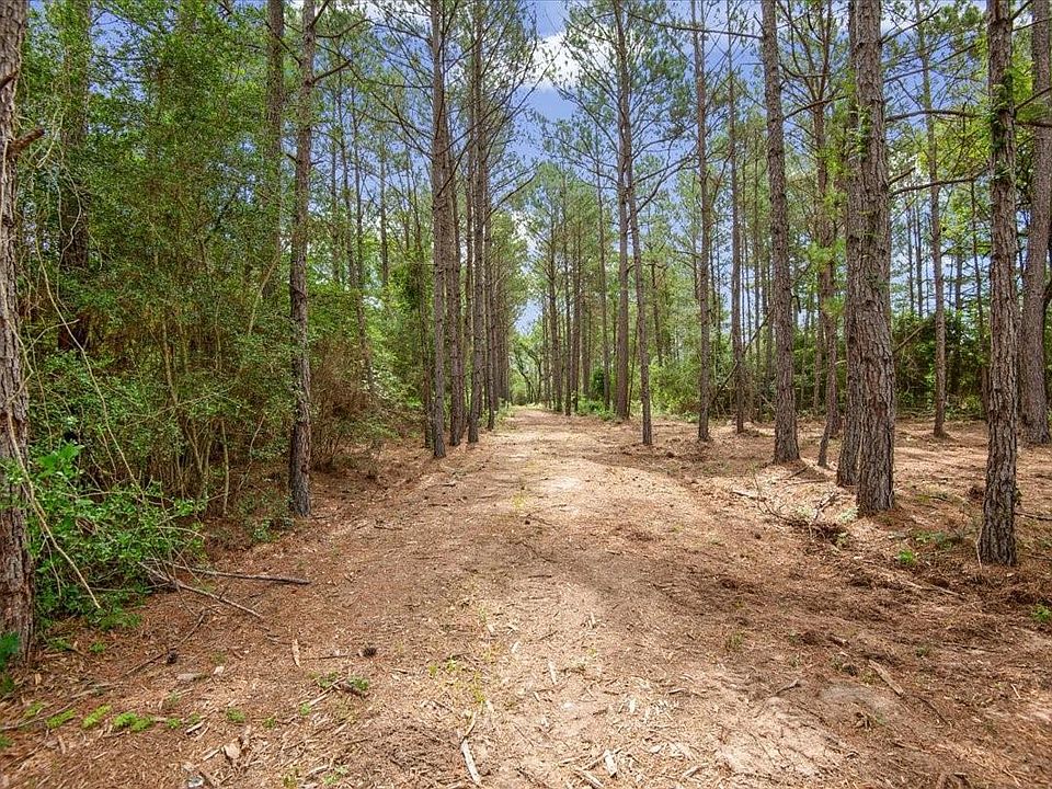 1st image of LOT 3 County Road 302