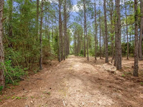 LOT 3 County Road 302, Plantersville, TX 77363