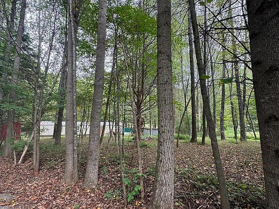 3rd image of 200 Skip Jack Ln
