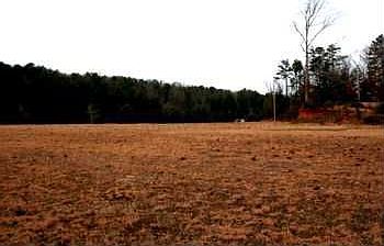 2nd image of 110 Stiles Daylily Farm Rd