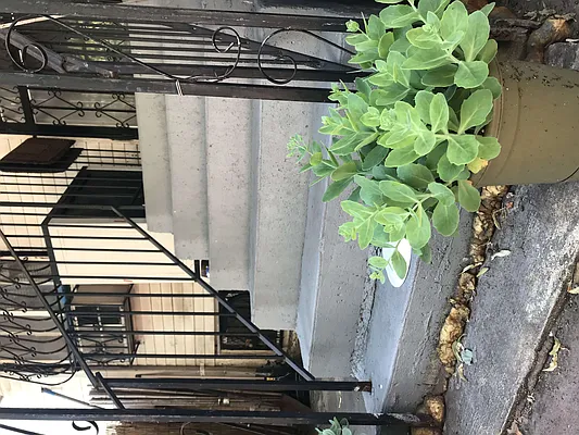 Rented by Nooklyn NYC LLC | media 21