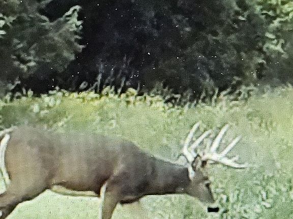 3rd image of 0 County Road J