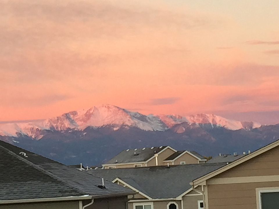 Views from back windows