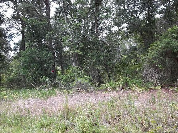 3rd image of 9623 N Cavewood Ave