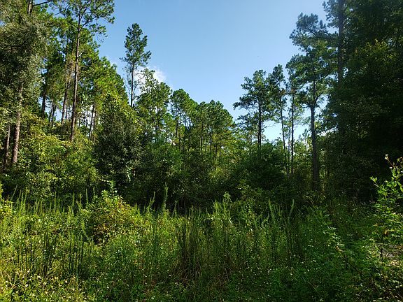 view of back 2 acres