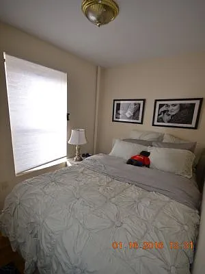 Rented by ArdorNY | media 6