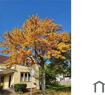543 Columbia St #UPSTAIR — Photo 1