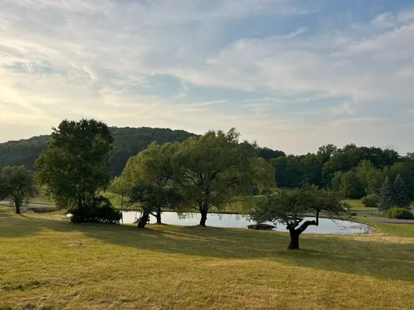 17 Pine Tree Ln, Millerton, PA 16936