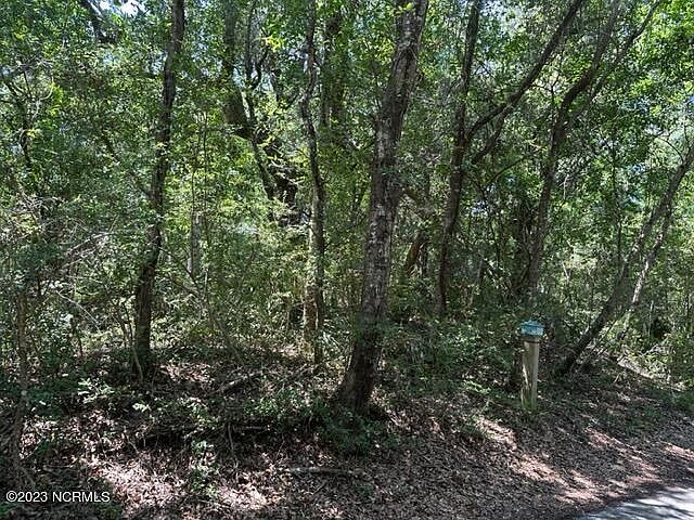 2nd image of 9 Three Flipper Trail