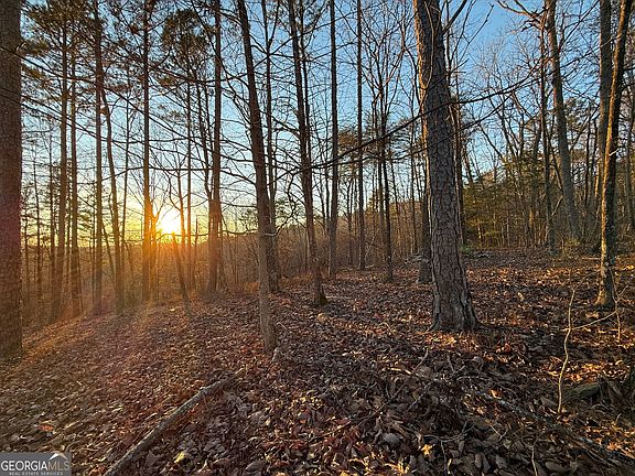 2nd image of 1344 Hunter Dr