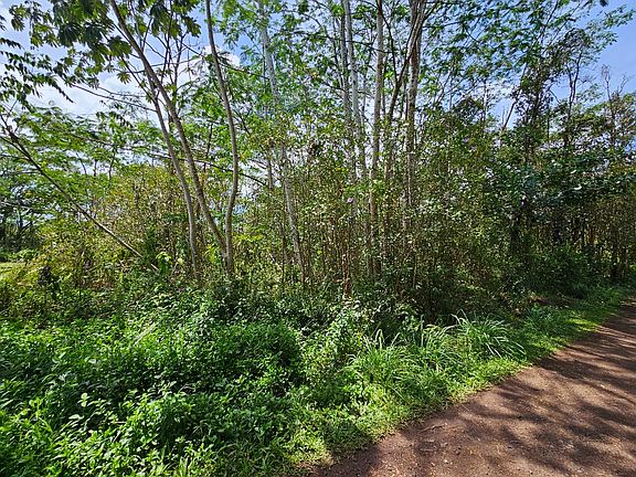 2nd image of Silversword Ct Lot 22