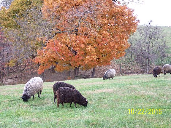 4th image of 12619 Township Road 106